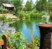 Gone Walkabout Safaris - Accommodation Daintree