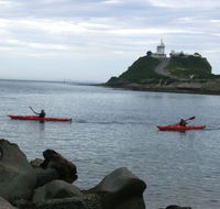 Newcastle Kayak Tours - Accommodation Daintree