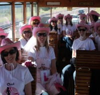 Newcastles Famous Tram - Accommodation Daintree