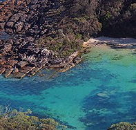 Sydney Weekend Adventures - Accommodation Daintree
