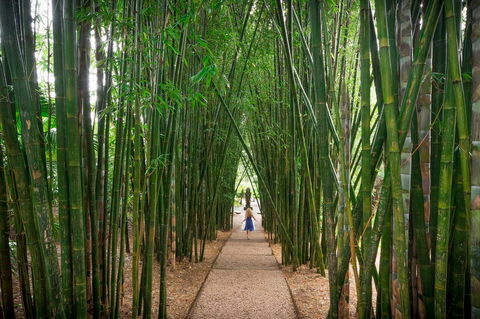 Crystal Castle & Shambhala Gardens - Accommodation Daintree 1