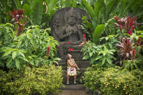 Crystal Castle & Shambhala Gardens - Accommodation Daintree 10