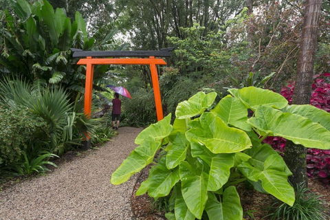 Crystal Castle & Shambhala Gardens - Accommodation Daintree 11