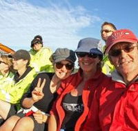 Byron Bay Whale Watching - Accommodation Daintree