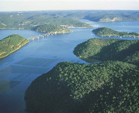 Daleys Point NSW Accommodation Daintree