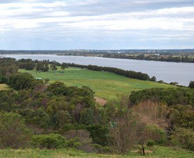 South Coast Scenic Tours - Accommodation Daintree 1