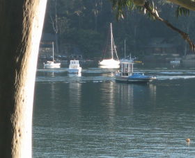 Church Point Ferry Service - Accommodation Daintree 1