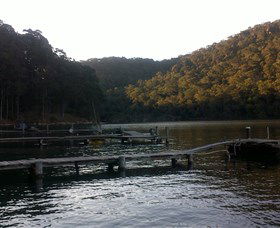 Church Point Ferry Service - Accommodation Daintree 5
