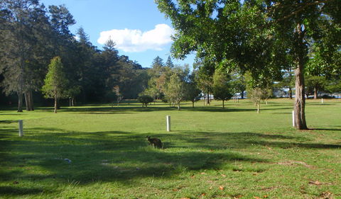 The Basin Picnic Area - Accommodation Daintree 1