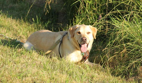 Rouse Hill Regional Park - Accommodation Daintree 1