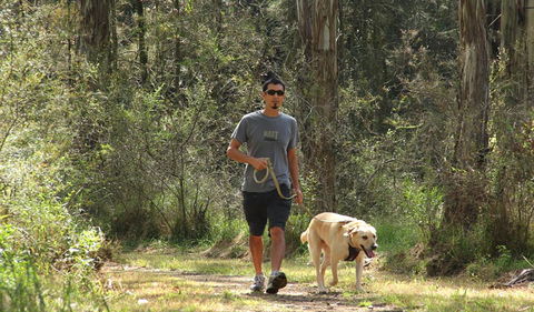 Second Ponds Creek Walk - Accommodation Daintree 3