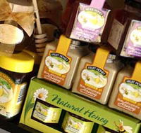 Blue Mountains Honey Company - The Honey Shed - Accommodation Daintree