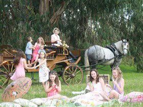 Classic Carriage Drives - Accommodation Daintree 1