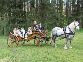 Classic Carriage Drives - Accommodation Daintree 0