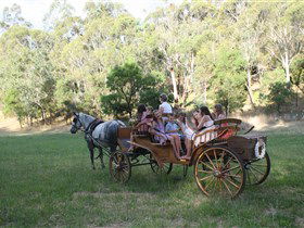 Classic Carriage Drives - Accommodation Daintree 3