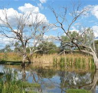 Lagoon Creek - Accommodation Daintree