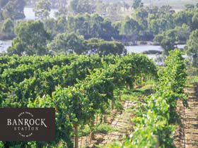 Banrock Station Wine And Wetland Centre - Accommodation Daintree 0