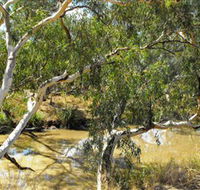 Quilberry Creek Fishing - Accommodation Daintree
