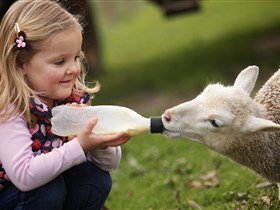 Hahndorf SA Accommodation Daintree