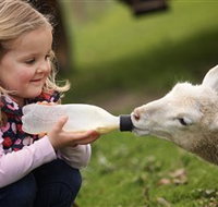Hahndorf Farm Barn - Accommodation Daintree