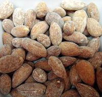 Almondco Almond Hut - Accommodation Daintree