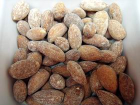 Almondco Almond Hut - Accommodation Daintree 0