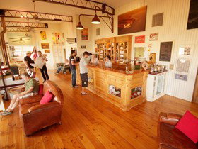 Adelaide Biplanes - Accommodation Daintree 1