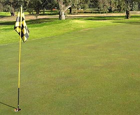 Wentworth Sporting Complex - Accommodation Daintree 0