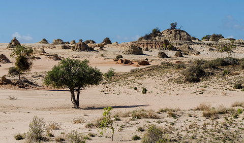 Walls Of China - Accommodation Daintree 2