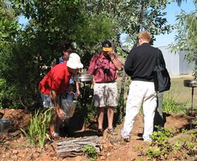 Mount Surprise Gems - Accommodation Daintree 2