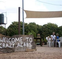 Crazy Acres
