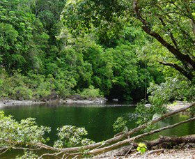 Broadwater, Abergowrie State Forest - Accommodation Daintree 0