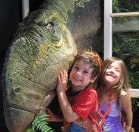 Australian Opal Centre - Accommodation Daintree