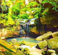 Carnarvon Gorge Carnarvon National Park - Accommodation Daintree