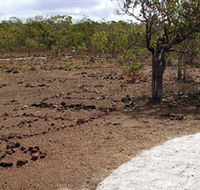 Wurrwurrwuy Garanhan Macassan Beach Interpretive Walk