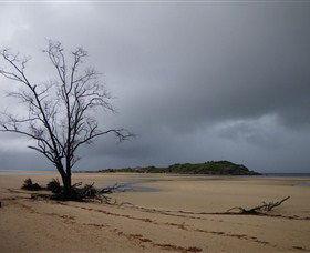 Dhamitjinya (East Woody Island) And Galaru (East Woody Beach) - Accommodation Daintree 3