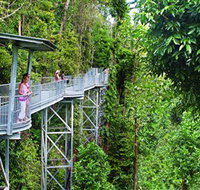 Mamu Tropical Skywalk - Accommodation Daintree