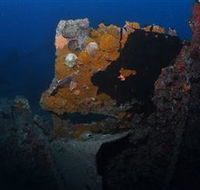 Lady Bowen Dive Site - Accommodation Daintree