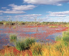 Adventure Way - Accommodation Daintree 3