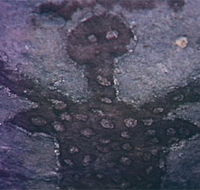 Quinkan Reserves Ancient Rock Art - Accommodation Daintree