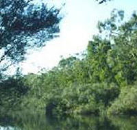 Crawford River Regional Park - Accommodation Daintree