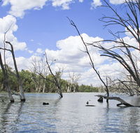 Murrumbidgee Valley National Park - Accommodation Daintree
