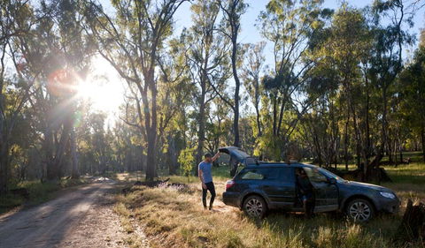 Forest Drive - Accommodation Daintree 1