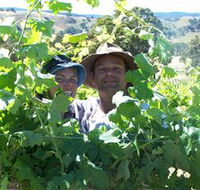 Wimmera Hills Winery - Accommodation Daintree