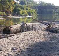 PS Wagga Wagga - Accommodation Daintree