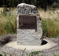 Aerial Trunk Route Memorial - Accommodation Daintree