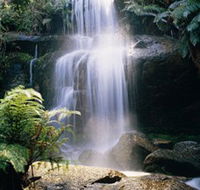 Mount Buangor State Park - Accommodation Daintree