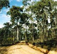 Paddys Ranges State Park - Accommodation Daintree