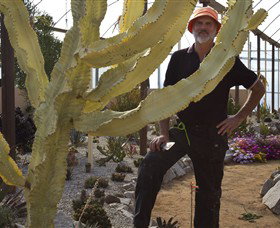Cactus Country - Accommodation Daintree 0
