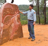 Sculptures in the Scrub walking track - Accommodation Daintree